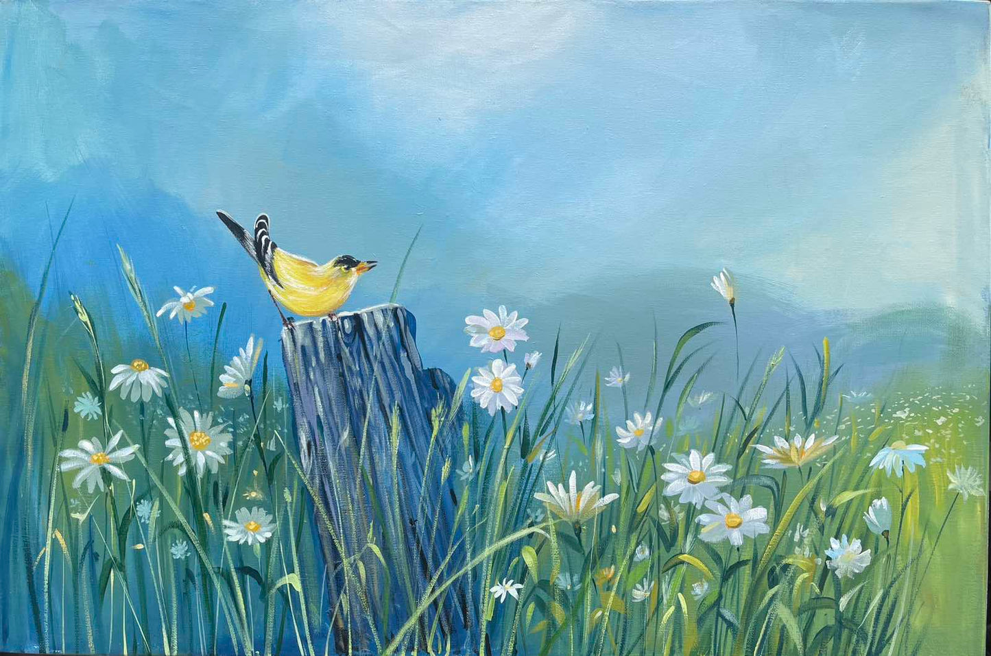 Yellow Finch