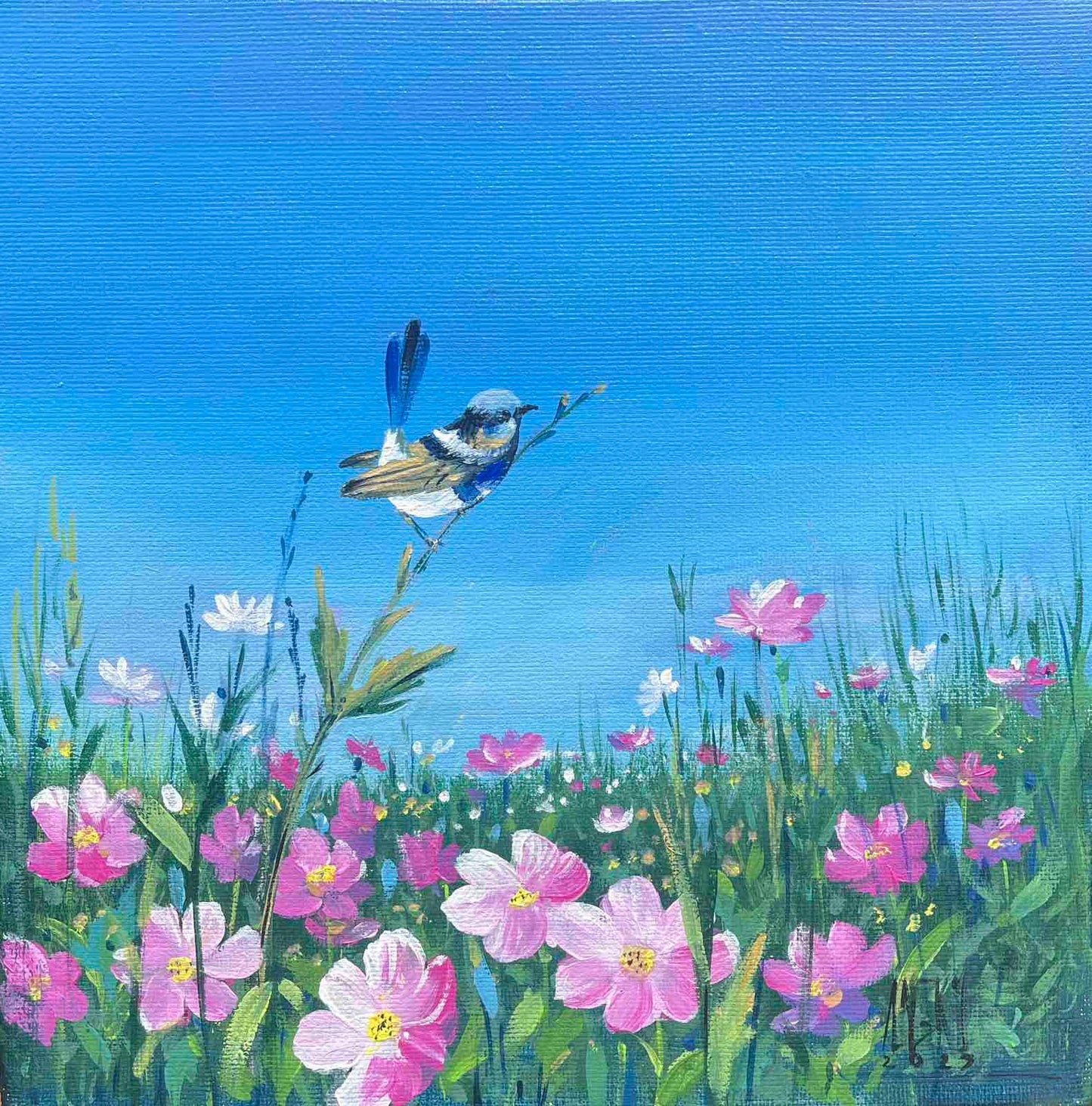 Blue Tit