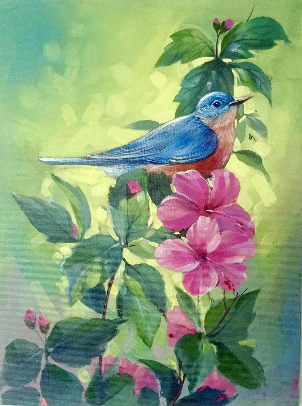 Blue Jay