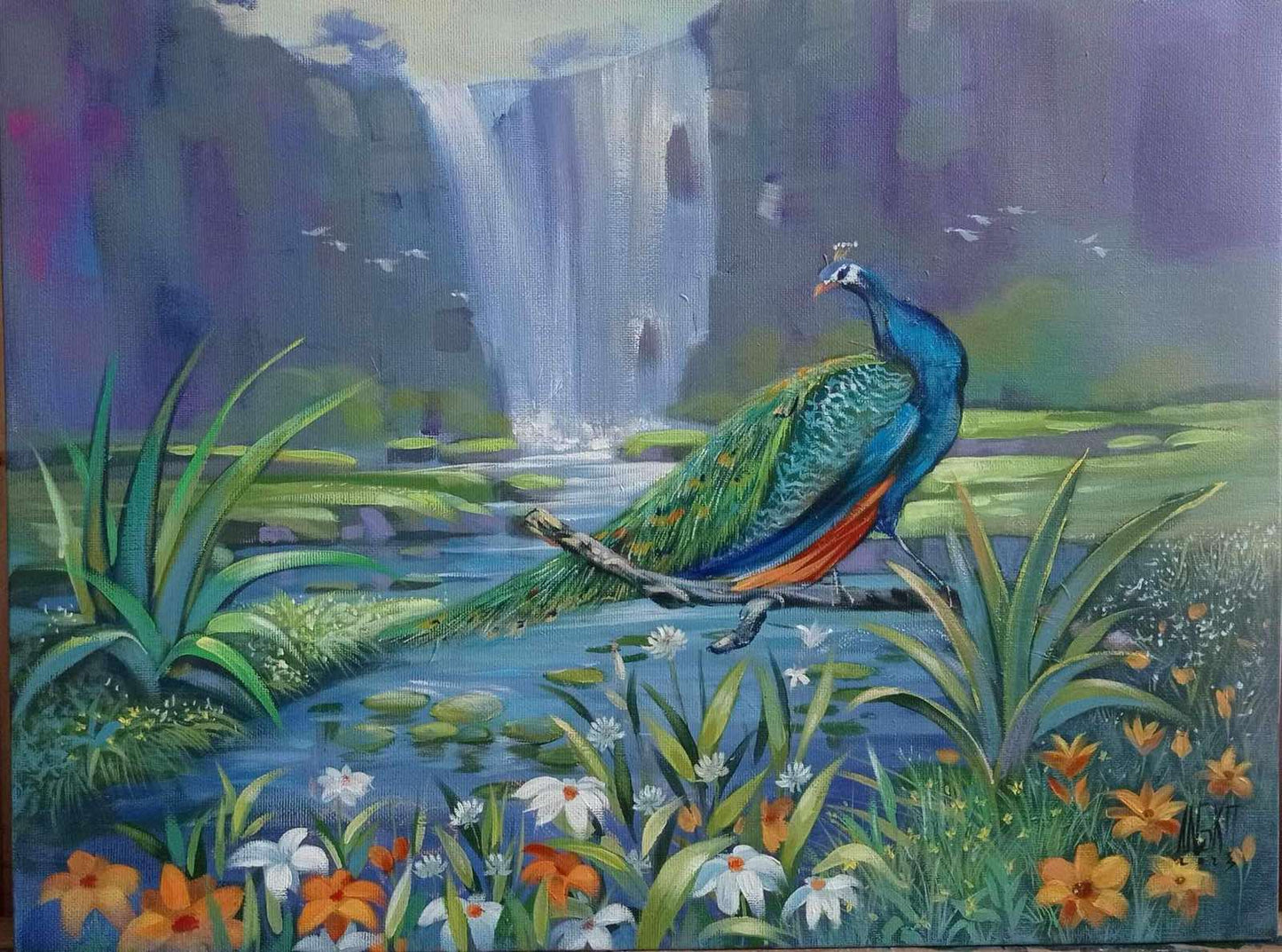 Peacock