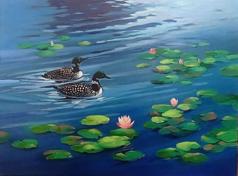 Mallard Duck
