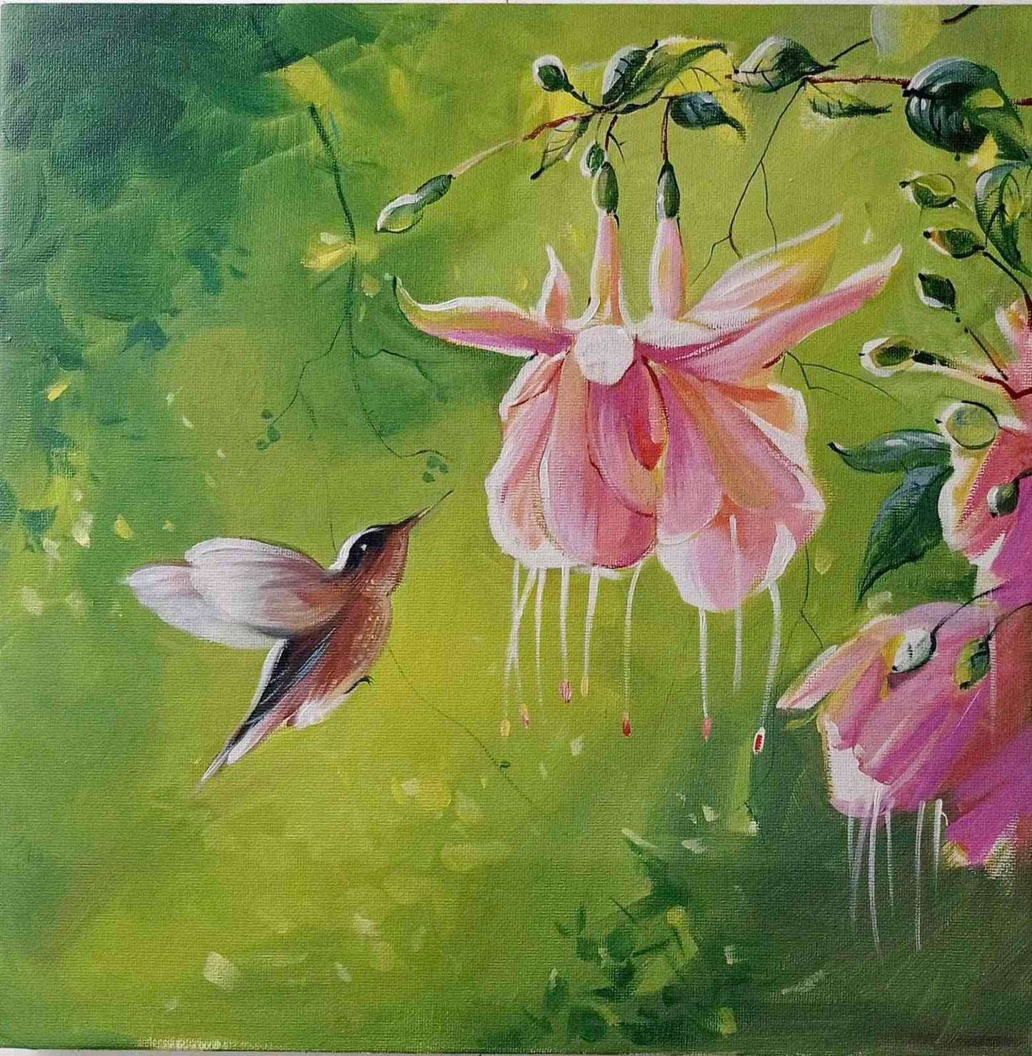 Humming Bird