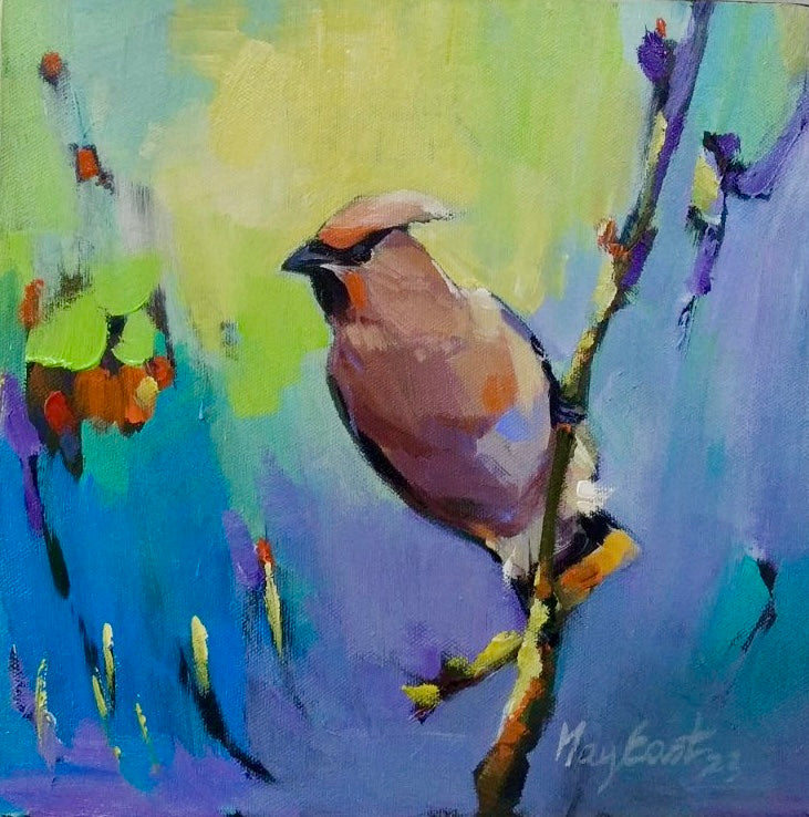 Bohemian Waxwing