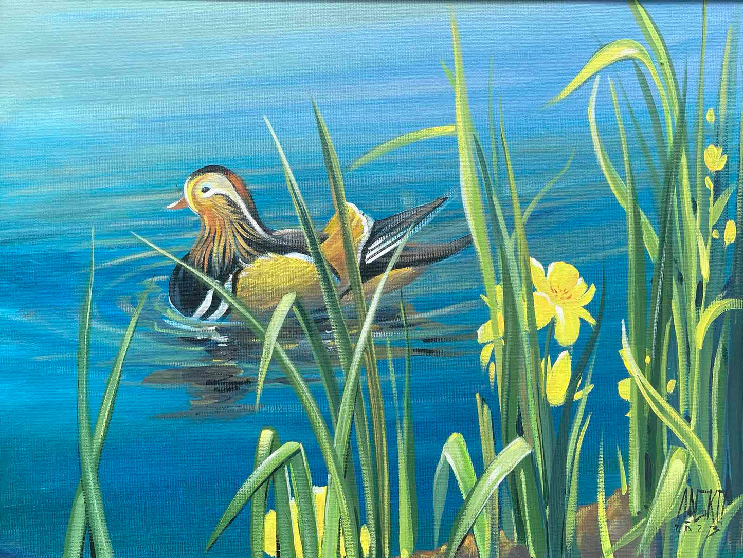 Sheld Duck