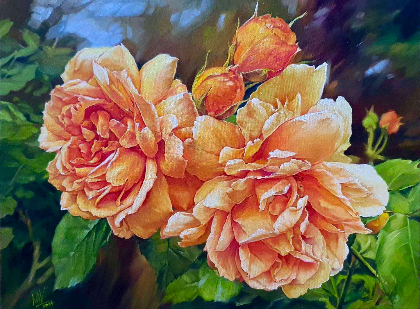 Roses - 15