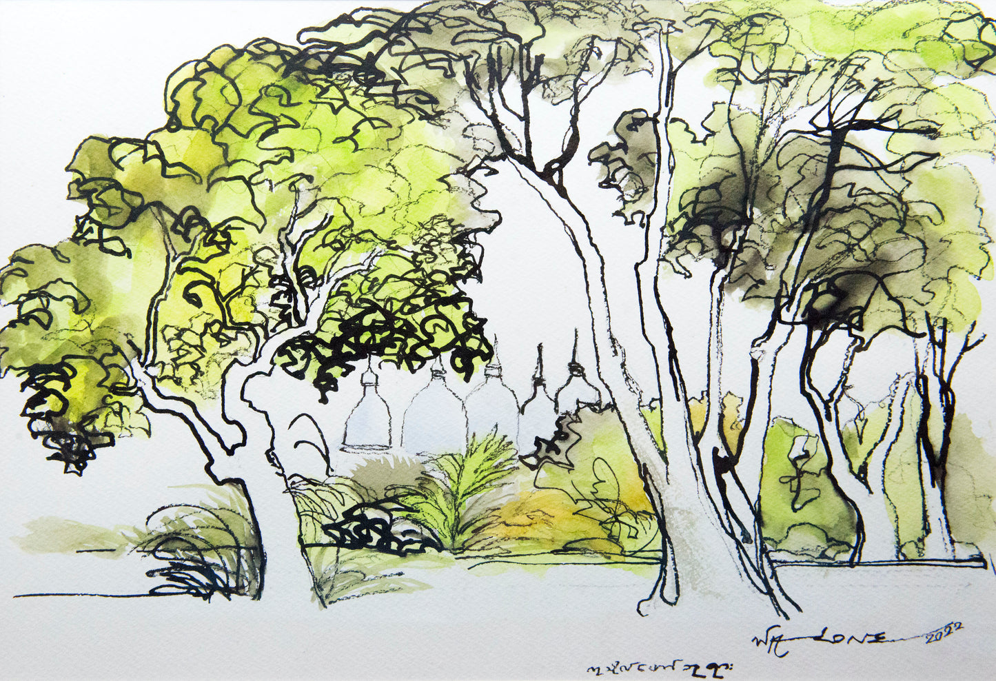Landscape