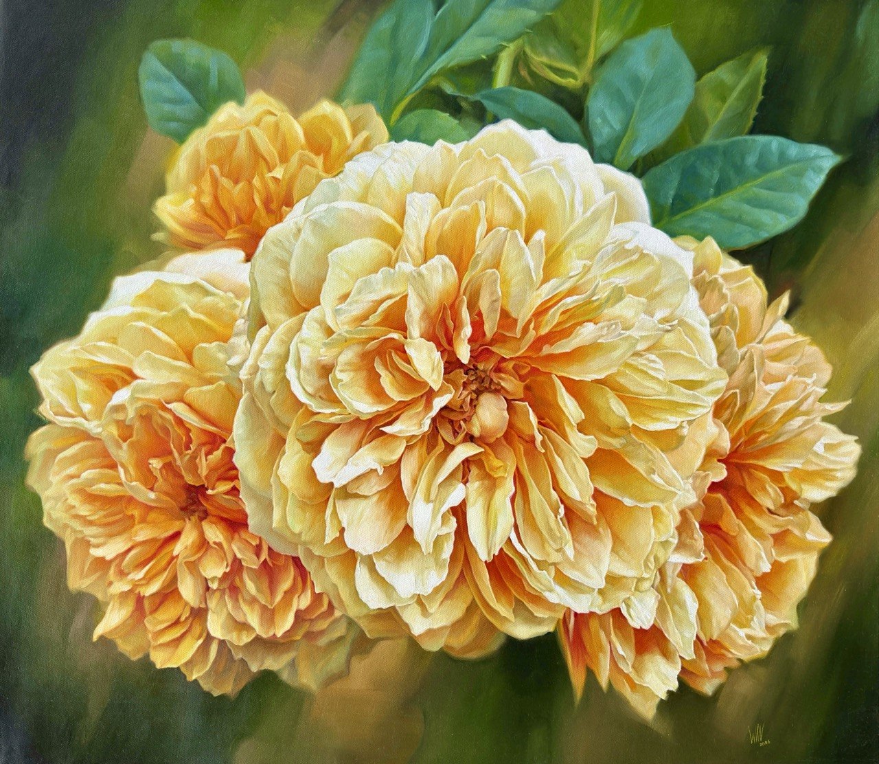 Roses - 16