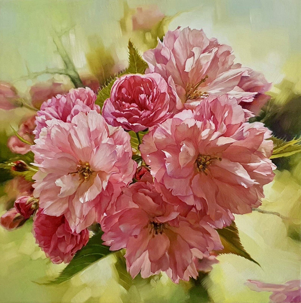 Roses -19