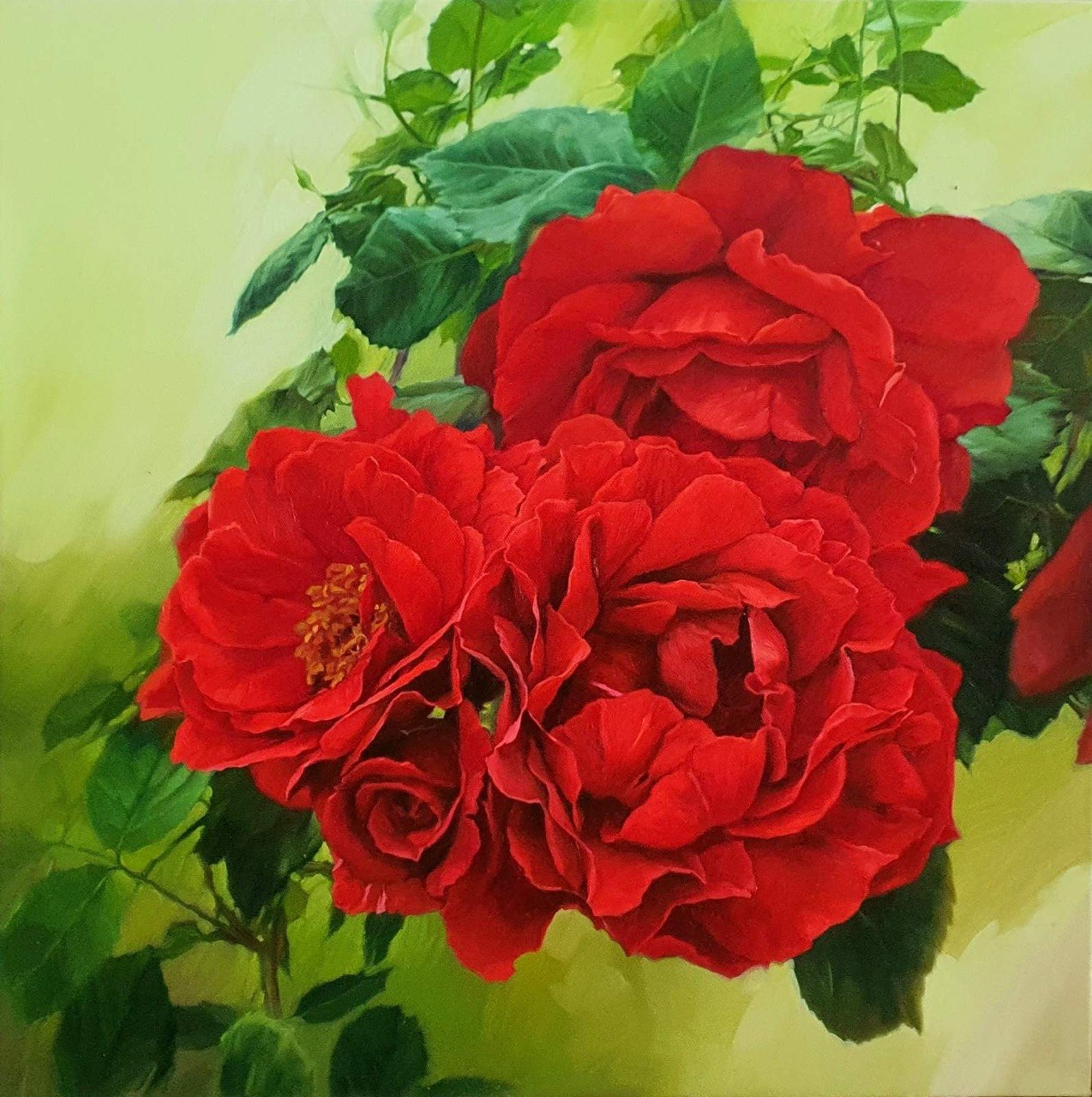 Roses -21