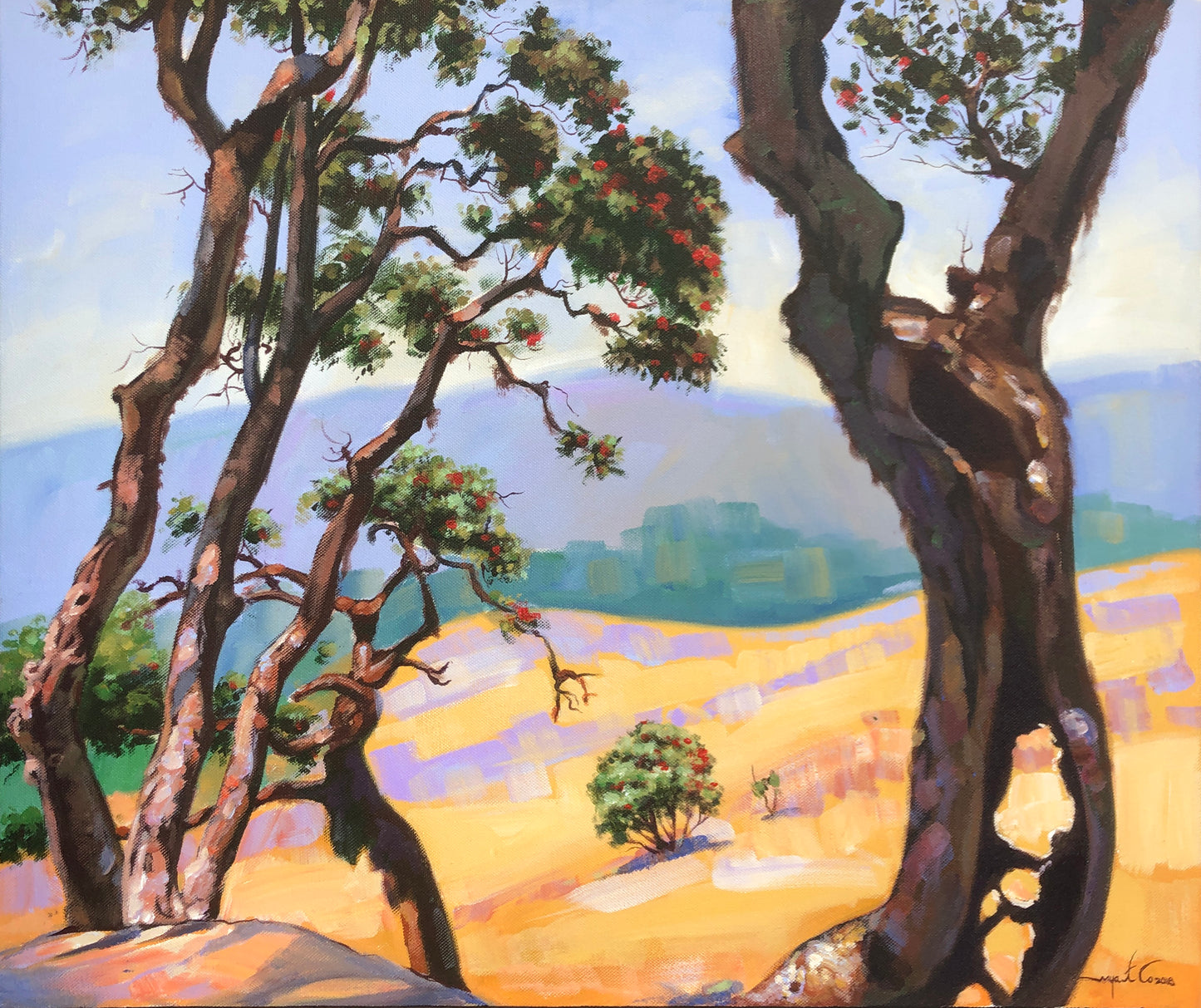 Landscape