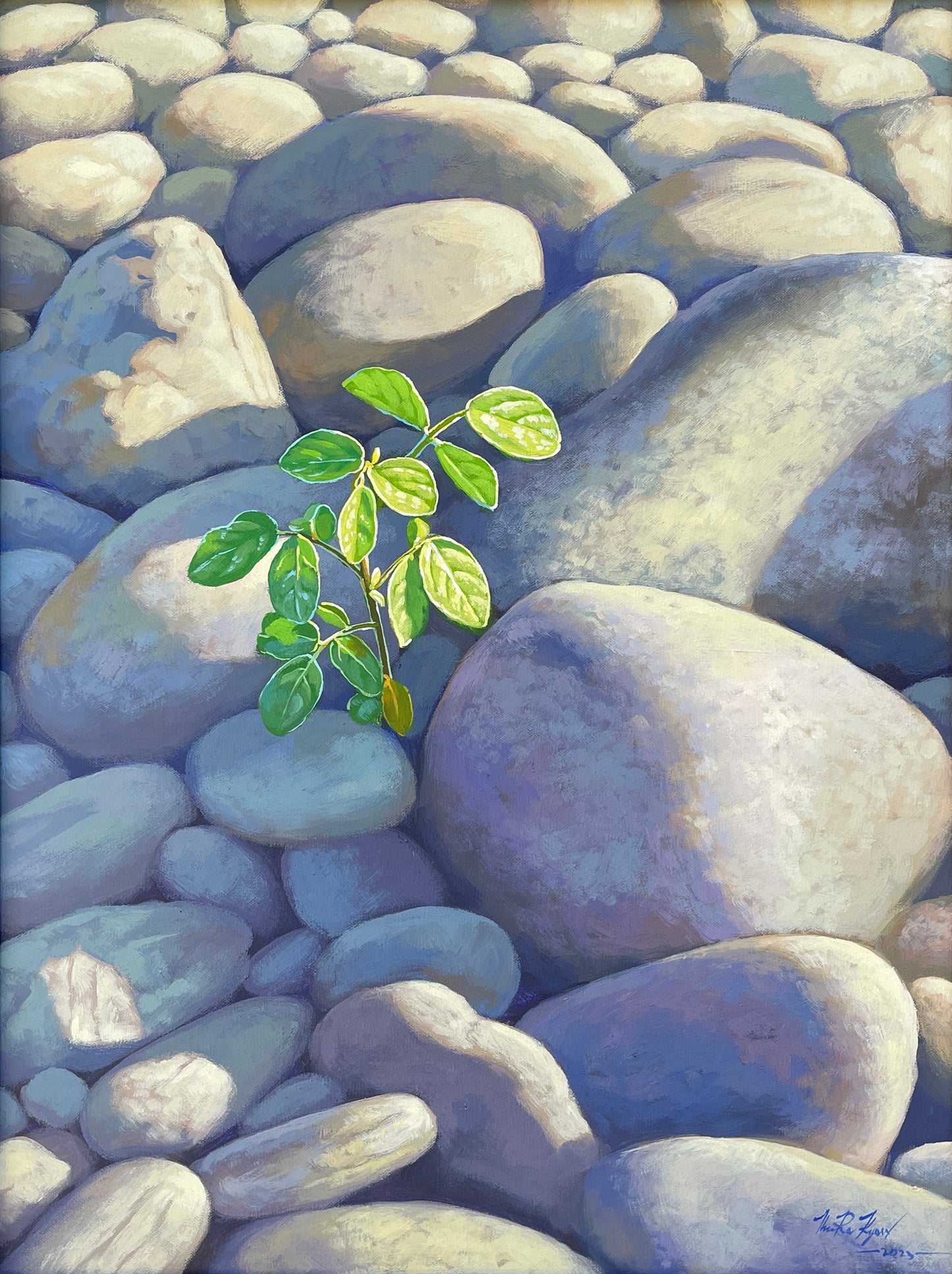 Rebirth