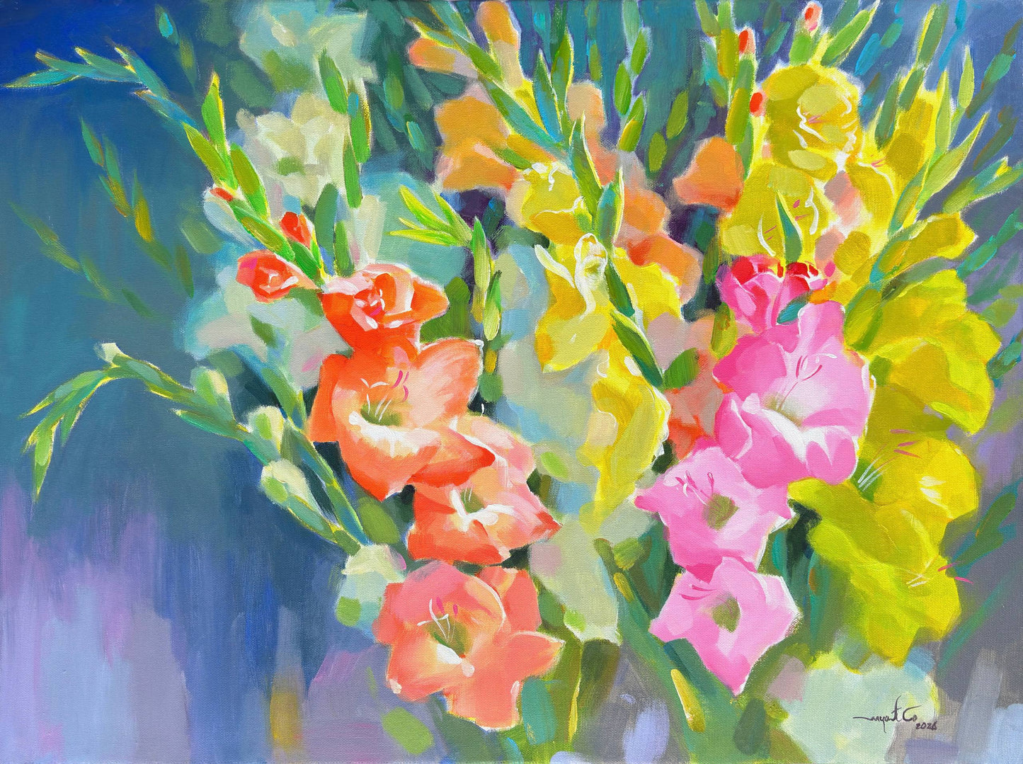 Gladiolus - 6