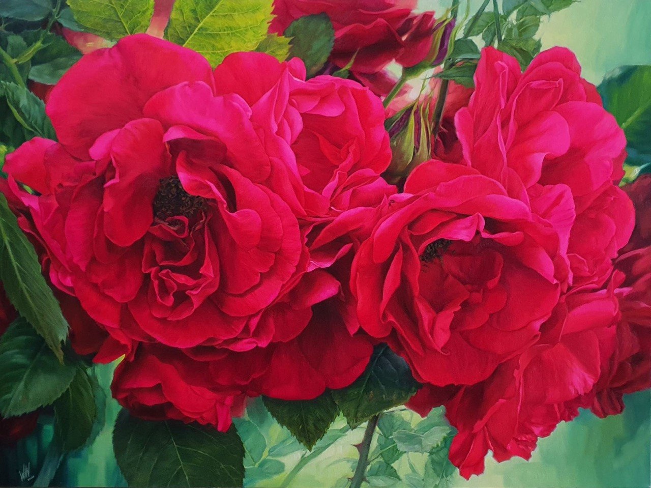 Roses -23