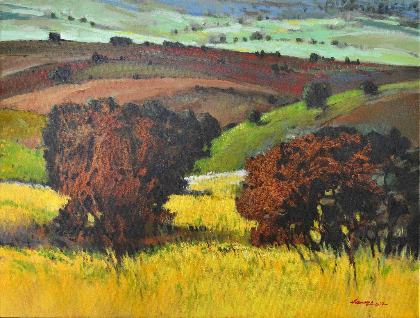 Landscape - I