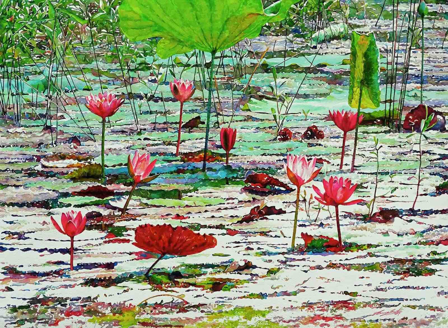 Waterlily - 1