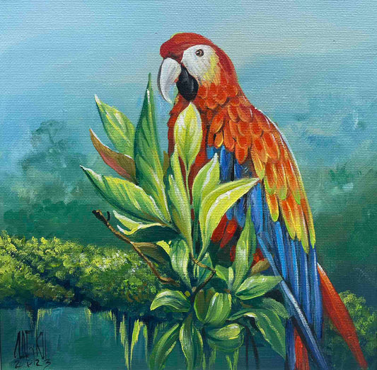 Scarlet Macaw