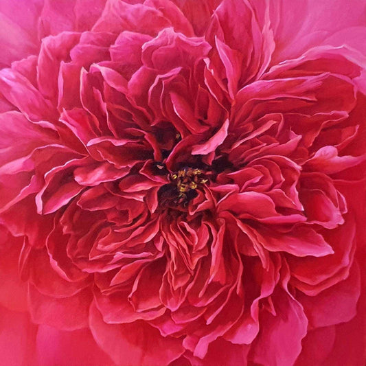 Roses - 14