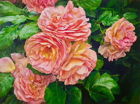 Roses - 12
