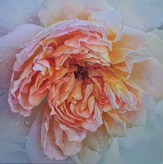 Roses - 13
