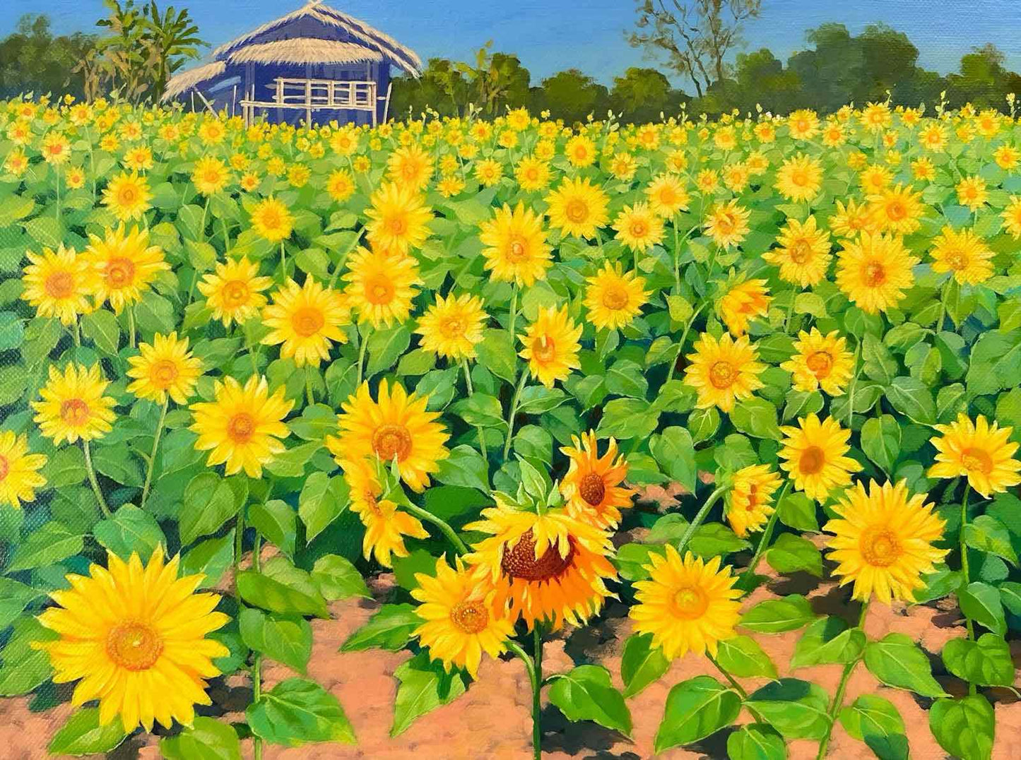 Sunflowers - 2