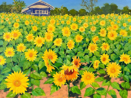 Sunflowers - 2