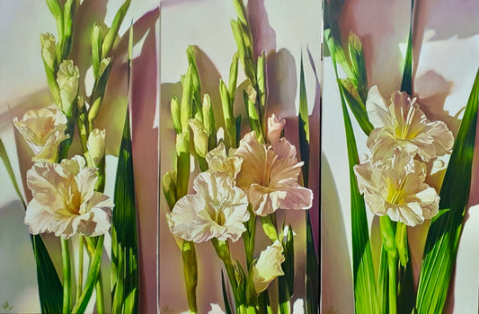 Gladiolus