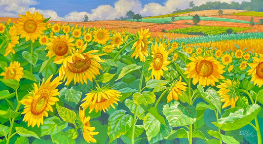 Sunflowers