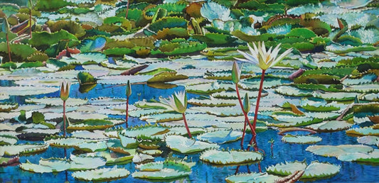Waterlily - 2