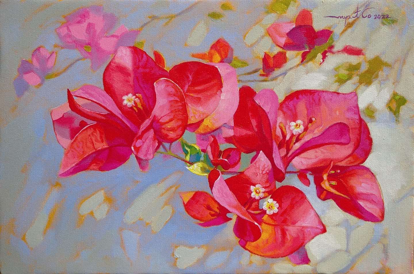 Bougainvillea