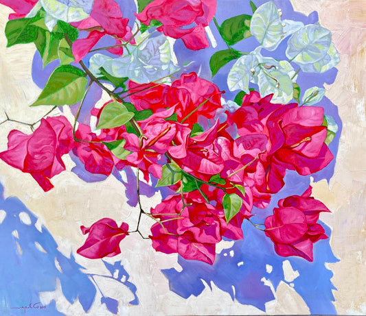 Bougainvillea - 1