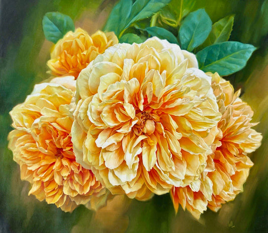 Roses - 16