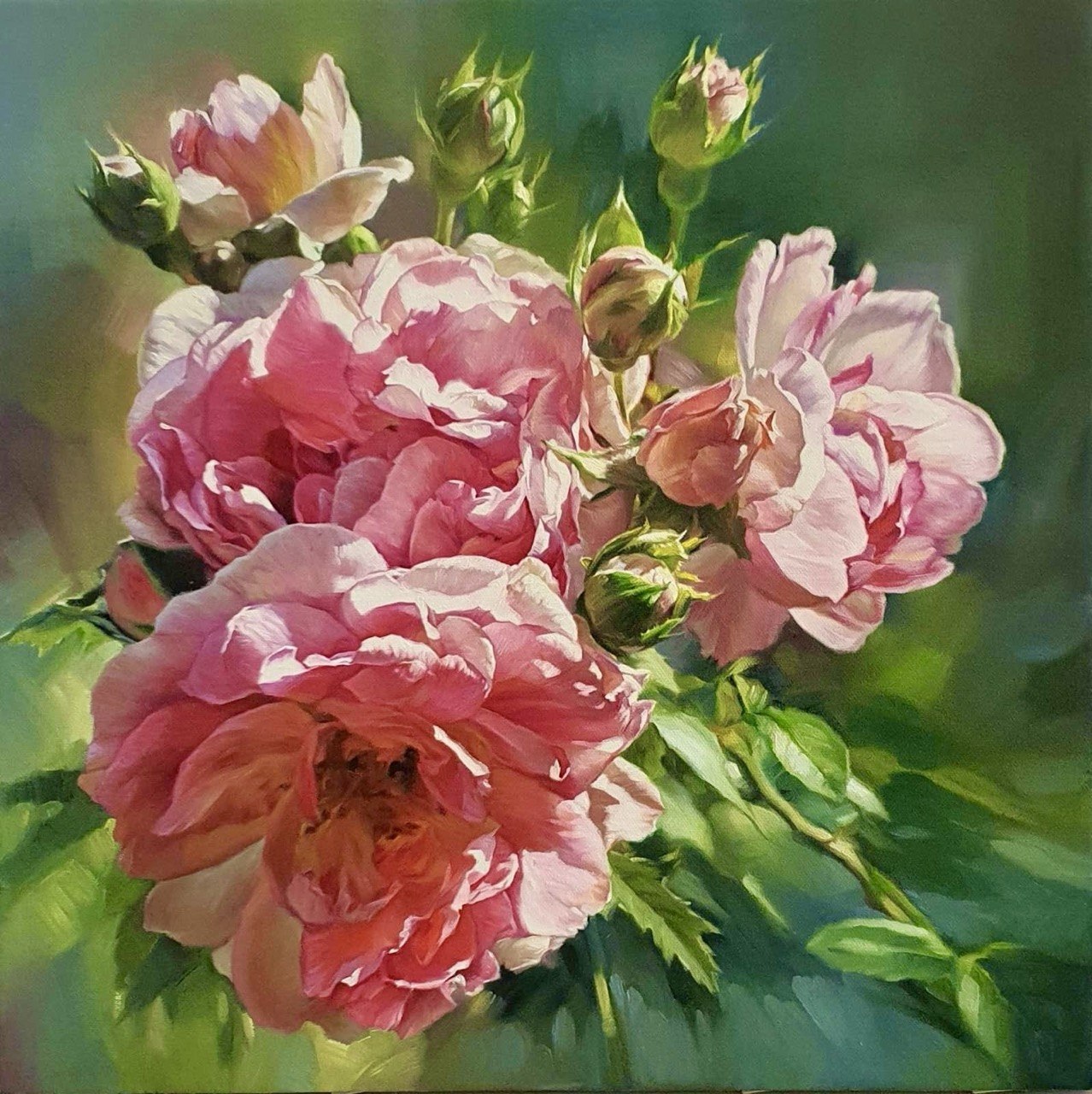 Roses -20