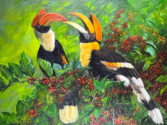 Hornbill