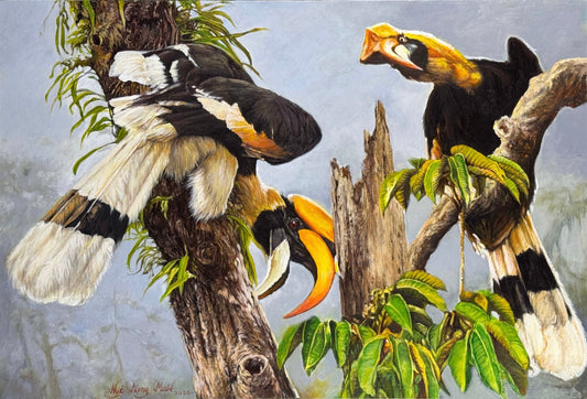 Hornbill