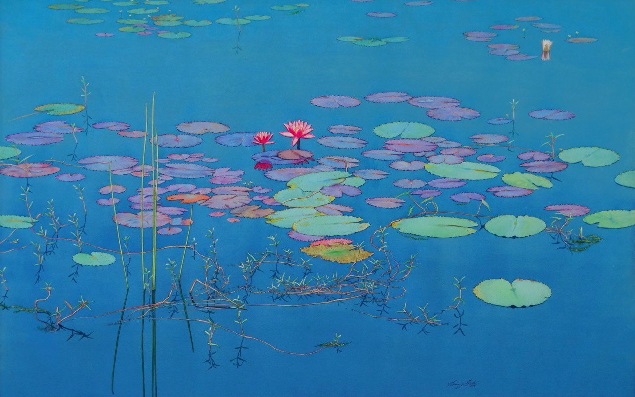Water-lily Pond
